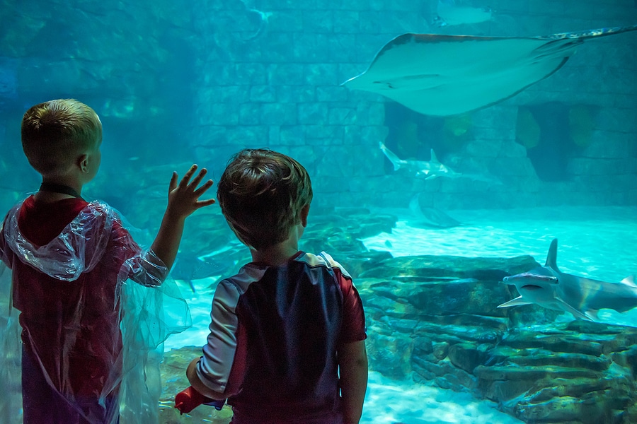 The Best Indoor Activities for Rainy Days in Florida